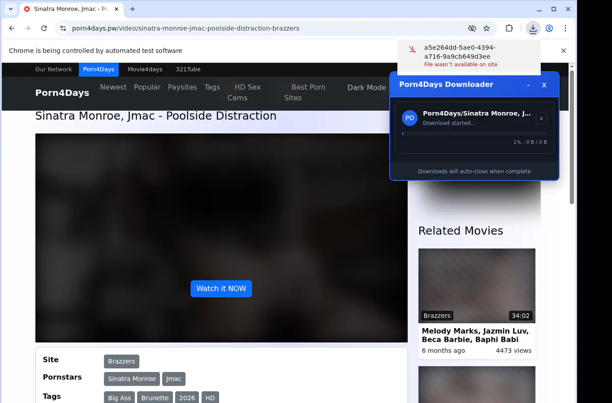 Porn 4 Days Video Downloader screenshot 2