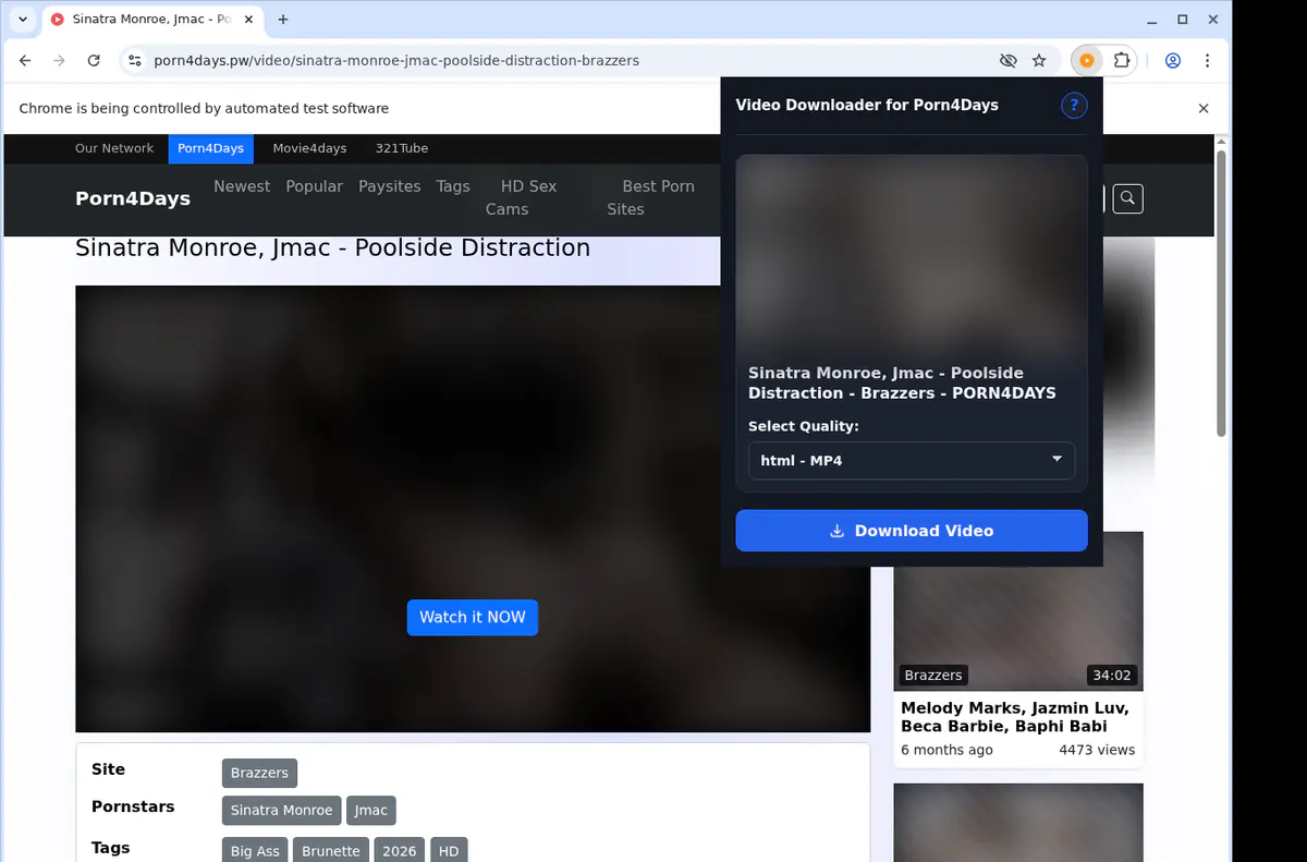 Porn 4 Days Video Downloader screenshot 3